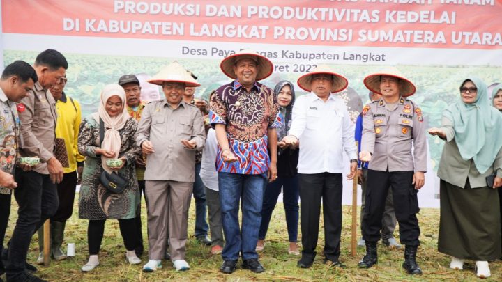 Syah Afandin Ingin Jadikan Langkat Centra Tanaman Kedelai di Sumut
