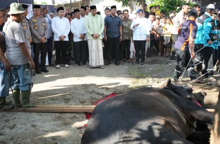 Wali Kota Medan Beserta Keluarga Sumbang Dua Ekor Hewan Qurban di Medan Deli