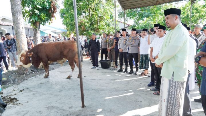 Rayakan Iduladha 1444 H, Pemko Medan Sembelih 104 Hewan Kurban