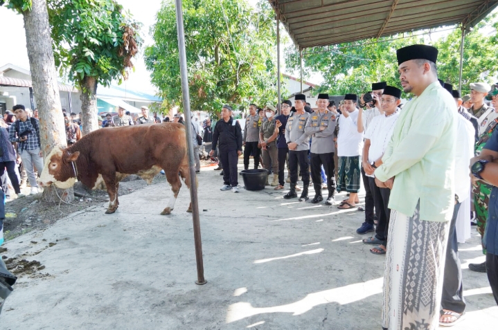 Rayakan Iduladha 1444 H, Pemko Medan Sembelih 104 Hewan Kurban