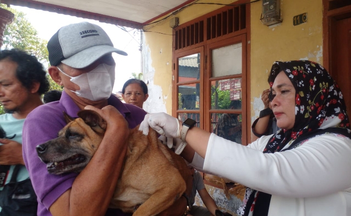Cegah Virus Rabies, Pemko Medan Gelar Penyuntikan Hewan
