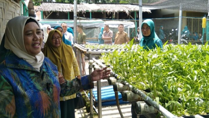 TP PKK Langkat Kembali Lakukan Pembinaan Aku Hatinya PKK di Desa Padang Berahrang