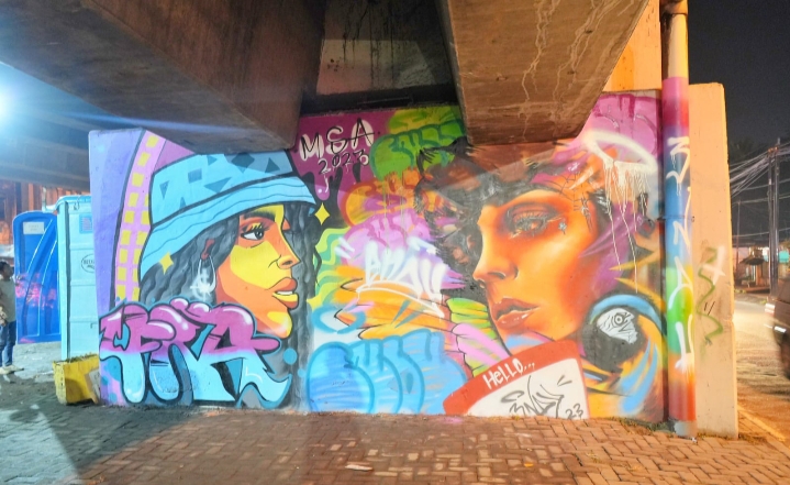 Karya Seniman Mural dari Manca Negara Hiasi Pilar Flyover Amplas