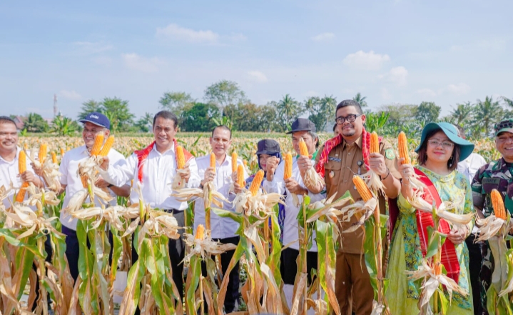 Panen 8 Ton Jagung Bersama Bobby Nasution, Mentan: Ini Luar Biasa, Semoga Hentikan Impor