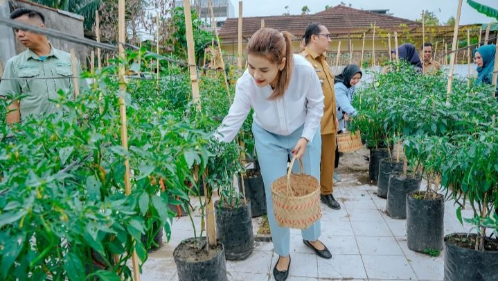 Kelompok Tani Bogainvile Makin Termotivasi Atas Kehadiran Ny Kahiyang Ayu