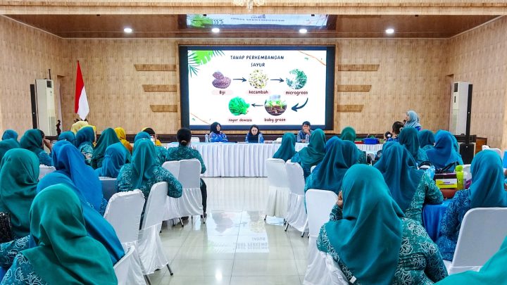 Pemko Medan Gandeng TP PKK Kembangkan Budidaya Microgreen dan Potensi Kewirausahaan