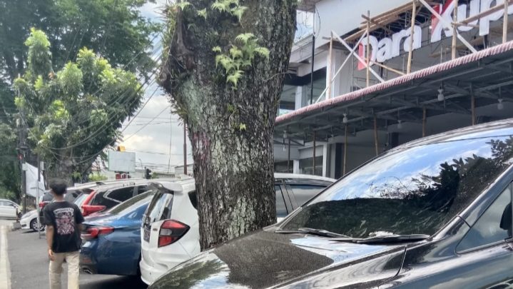 Dara Kupi Sudah Diberi SP3, DPRD Medan Desak SatPol PP Segera Bongkar Aspal di Atas Trotoar