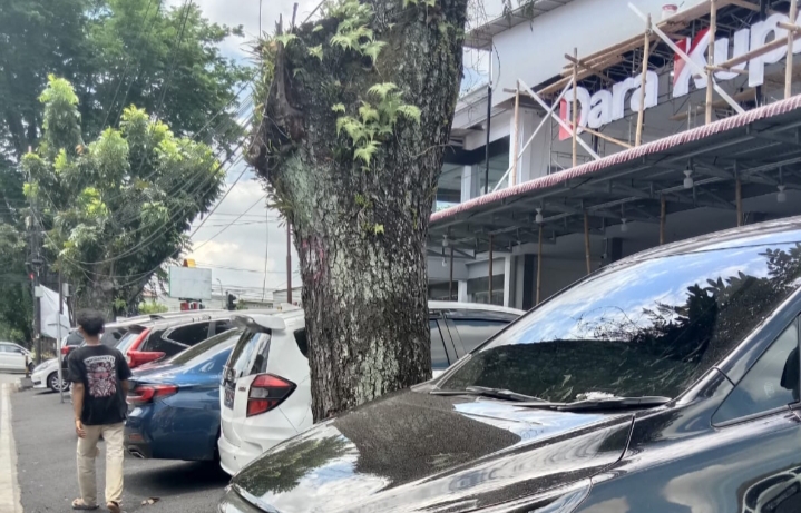 Dara Kupi Sudah Diberi SP3, DPRD Medan Desak SatPol PP Segera Bongkar Aspal di Atas Trotoar