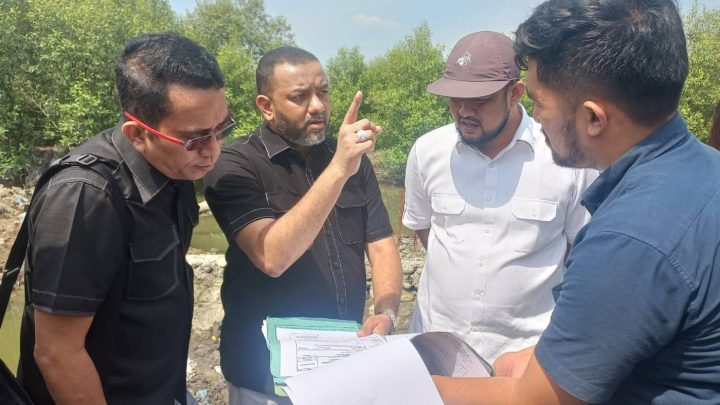Hutan Mangrove Di Pulau Sicanang Ditimbun Untuk Bangun Pabrik