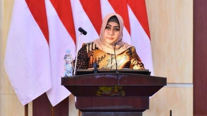 Fraksi Hanura-PKB Soroti Persoalan PBG di Kota Medan