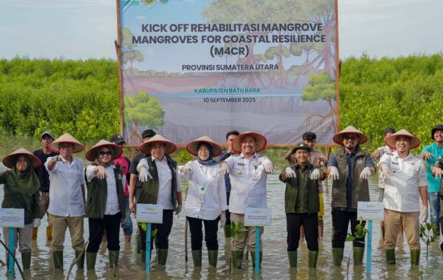 Tahun 2025, Menhut Targetkan Penanaman Mangrove M4CR 15.387 Hektare di 4 Provinsi