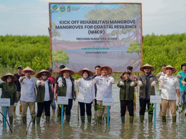 Tahun 2025, Menhut Targetkan Penanaman Mangrove M4CR 15.387 Hektare di 4 Provinsi