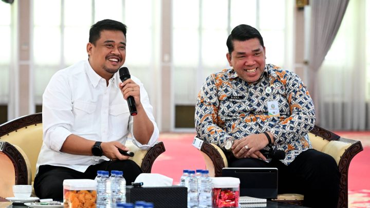 Pemprov Sumut Susun Strategi Pengembangan Kawasan Unggulan Tiga Sektor