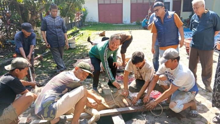 Iduladha 1447 H, PWI Sumut Sembelih 6 Hewan Kurban