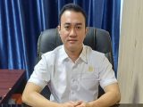 Penebangan Pohon Pembangunan BRT, Komisi IV: DLH Medan Jangan Suka Buang Badan